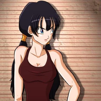 Future Videl Dragon Ball Updates Wiki Fandom