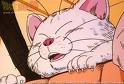 Korin