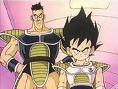 Nappavegeta
