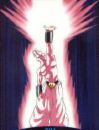 Super buu inialation attack