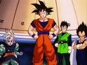 Supreme kai with friends