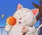 Korin holding dragonball