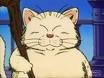 Korin standing