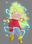 Ssj3 broly1