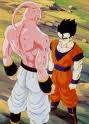 Superbuuandgohan