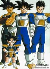 The sayain family