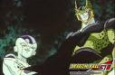 Fireza and cell