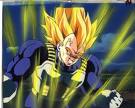 Ssjvegeta