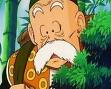 Grandpa gohan