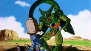 Cell absorbs 17