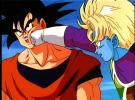 Salza punches goku