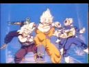 Sayains8