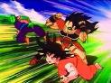 Piccolo goku raditz