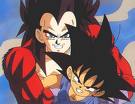Vegetaholdinggoku