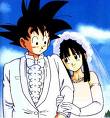 Chi chi and goku getting mariied