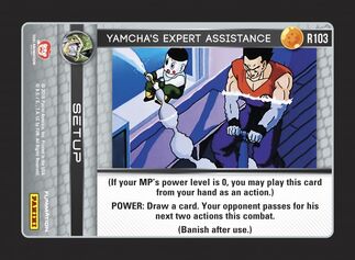R103 - Yamchas Expert Assistance