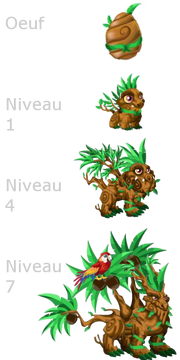 Tropical Dragon