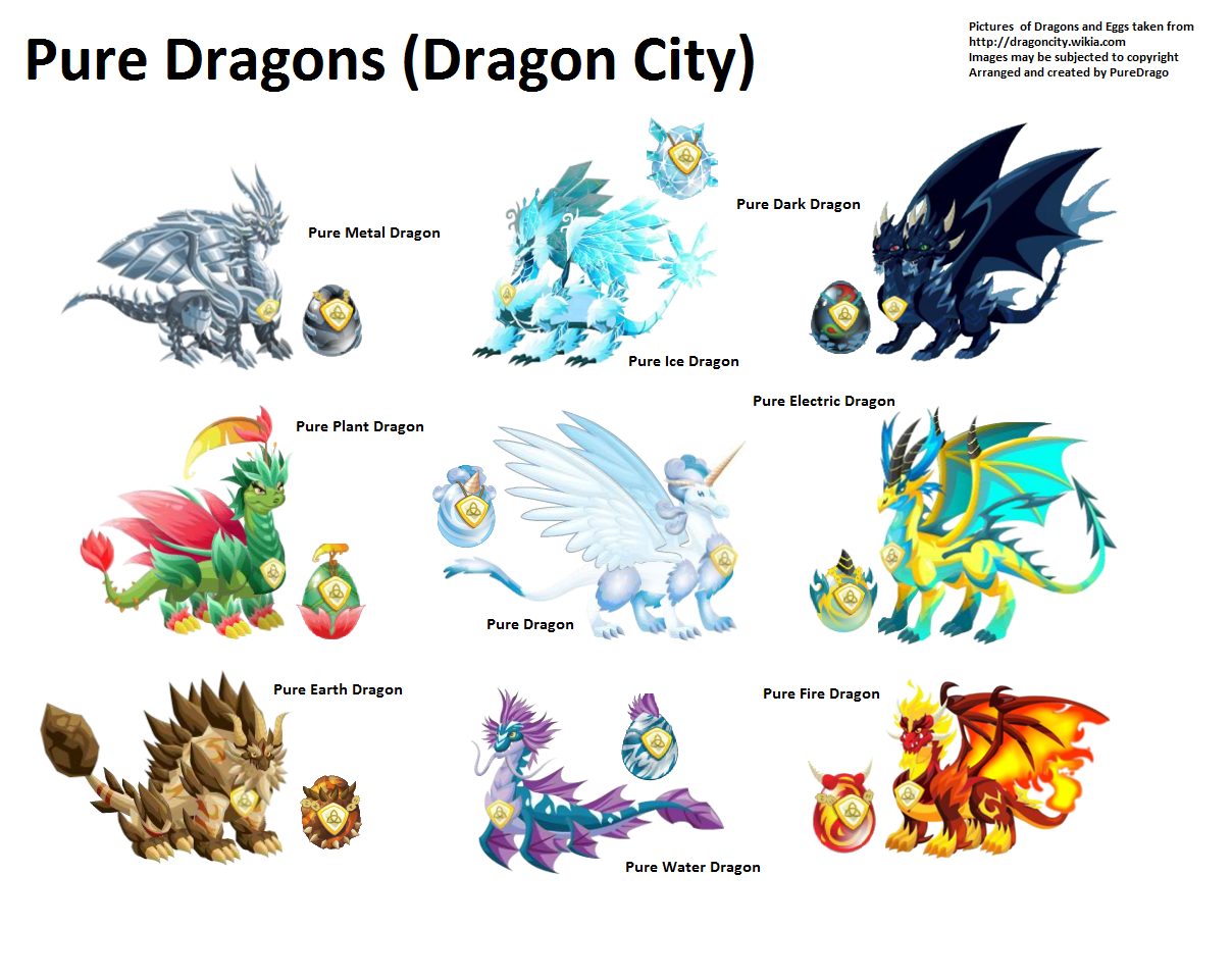 Image Easxicel infinitys pure dragons edit copyright.png Dragon