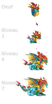Elements Dragon