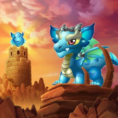 dragon city aquamarine dragon breeding sanctuary