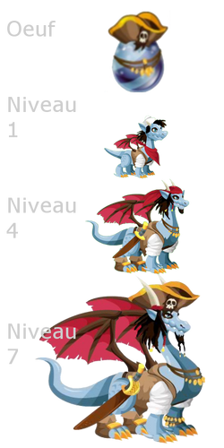 Pirate Dragon