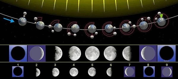 In Quanto Tempo La Luna Gira Intorno Alla Terra