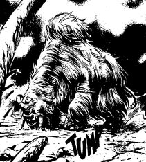Fargh
