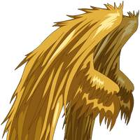 Capes Wings Dragonfable Wiki Fandom