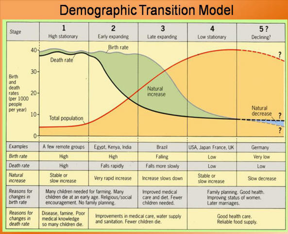 image demographic transition model jpg