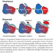 Dispersal vicariance