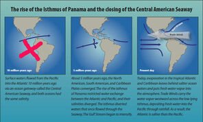 AncientPanamaX