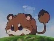 Mappy
