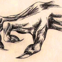 Dragon Claws Dragon Handbook Wiki Fandom,Simple Snake Drawing For Kids