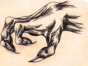 Sketch