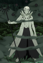 Soursop Kai Absorption