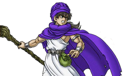 Dq5-Hero