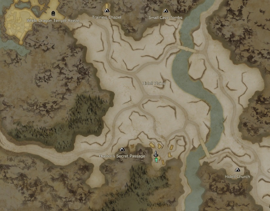 Dragons Dogma World Map