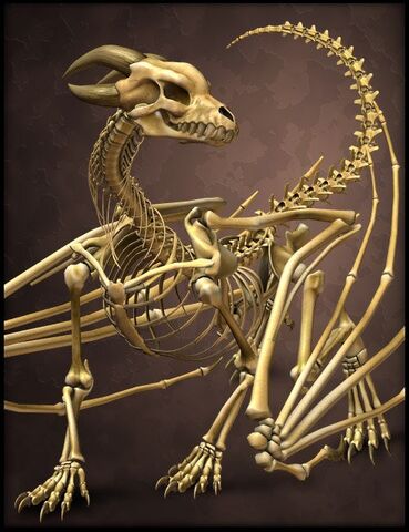 File:The-bone-dragon-for-poser.jpg