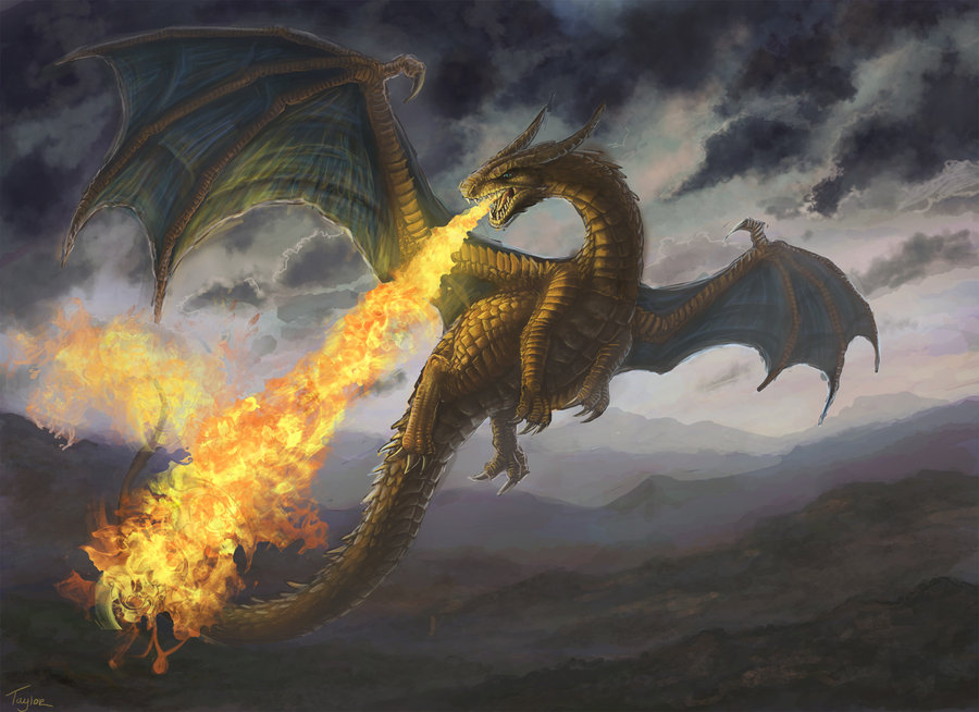 Real Fire Dragon Images