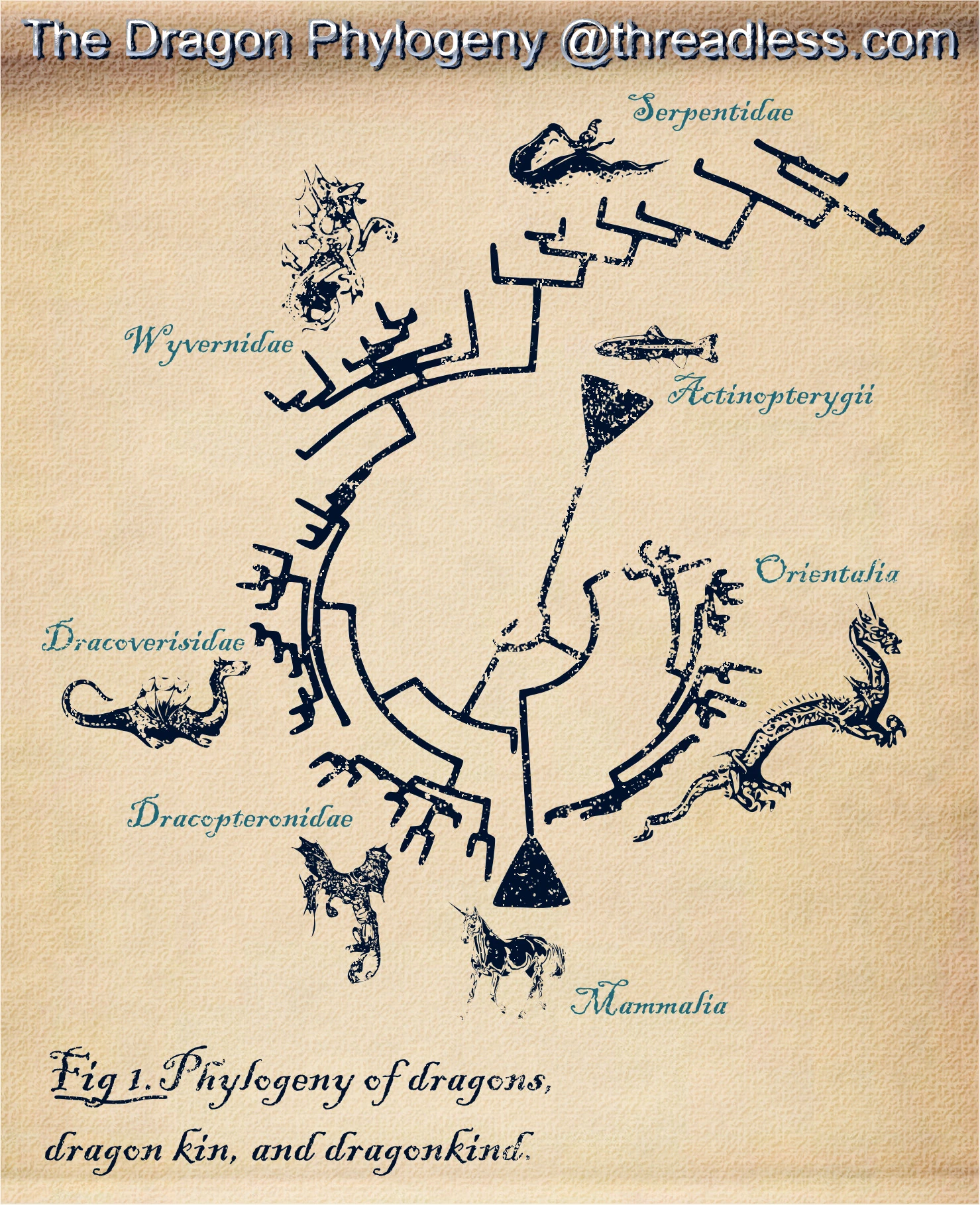 Image Dragon Phylogeny.jpg Dragons FANDOM powered by Wikia