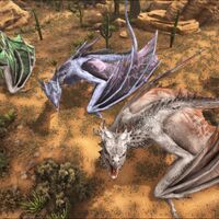 Wyvern (Ark) | Dragons | Fandom