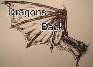 DragonsBackLogo