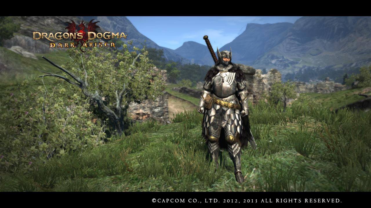 Dragons dogma dark arisen броня. Dragon's Dogma Dark Arisen броня. Dragons Dogma 1. Set Armor Dragon Dogma Dark Arisen. Dragon Dogma Raptor Armor Set.