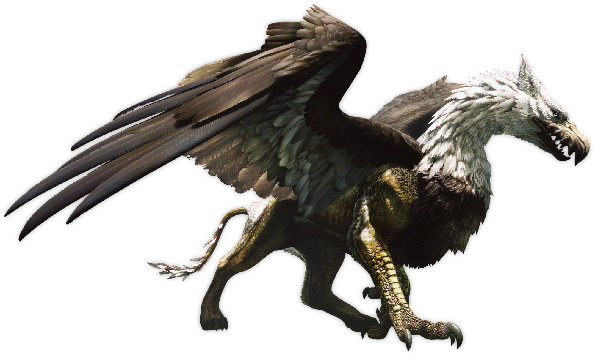 Griffin | Dragon's Dogma Wiki | Fandom