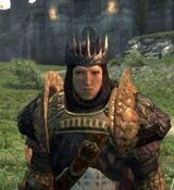 Crowned Hood | Dragon's Dogma Wiki | FANDOM powered by Wikia