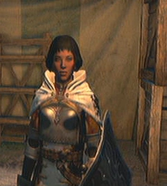 Dragon dogma мерседес