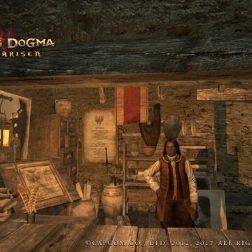 The Black Cat Dragon S Dogma Wiki Fandom