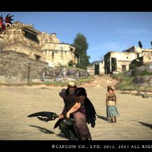 Character Weight Dragon S Dogma Wiki Fandom