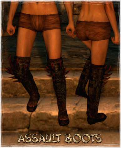 Assault Boots | Dragon's Dogma Wiki | FANDOM powered by Wikia