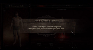 Dragons Dogma Pawn Master Quotes Chastity Captions